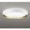 OL291787NGR LEDシーリング ODELIC(オーデリック) 06118757