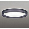 OL291781BR LEDシーリング ODELIC(オーデリック) 06118949