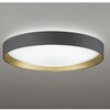 OL291788BR LEDシーリング ODELIC(オーデリック) 06118967
