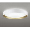 OL291786NGR LEDシーリング ODELIC(オーデリック) 06119290