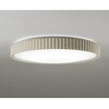 OL291798GR LEDシーリング ODELIC(オーデリック) 06119640