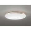 OL291771NGR LEDシーリング ODELIC(オーデリック) 06119667