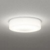 OG254870R LEDシーリング ODELIC(オーデリック) 06120629