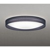 OL291783BR LEDシーリング ODELIC(オーデリック) 06120717