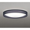 OL291782BR LEDシーリング ODELIC(オーデリック) 06120778