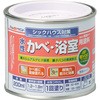 風呂場ペンキ
