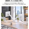 JN-A-G210A2C-W 液晶ディスプレイアーム ガススプリング式 デュアル 2画面 クランプ対応 グロメット対応 21.5-32インチ対応 耐荷重2-10kg 3軸/ホワイト/2年保証 JAPANNEXT 06131287