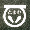 06133803