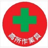 06135775