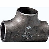 SGP  T 80~65 ˍnڌp () ٌa`[Y m[uh 06168662