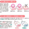 2-70200 のし紙 タカ印(ササガワ) 06169568