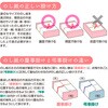2-70206 のし紙 タカ印(ササガワ) 06169611