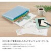AD-5212-00 アドワン キャンディレインボー ドキュメントファィル A4 セキセイ 06169681