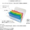 AD-5312-00 アドワン キャンディレインボー ドキュメントホルダー セキセイ 06169699