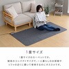 WAC-101+YASG-0920(GJ) 日本製 ホットカーペット&ラグセット YAMAZEN(山善) 06171388