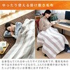 YMK-60 電気毛布 188×130cm  丸洗い ダニ対策 YAMAZEN(山善) 06171300