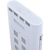 CBI-N926NR-W スチール900W カーボンヒーター おおたけ 06171686