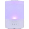 WH-S406-W スチーム加湿器 おおたけ 06171738