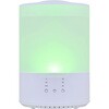 WH-S406-W スチーム加湿器 おおたけ 06171738