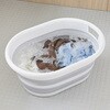 DS-16 デイズ たためるおおきな楕円型マルチバケツ タマハシ 06173908
