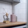 EBS-JPK スウェーデン製 アブソドライ エコ除湿器 ピンク メテックス 06177451