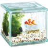 - 金魚元気ぶくぶくクリア 200CUBE ジェックス 06182360