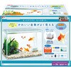 - 金魚元気ぶくぶくクリア 400 ジェックス 06182396