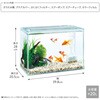 - 金魚元気ぶくぶくクリア 400 ジェックス 06182396