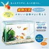 - 金魚元気ぶくぶくクリア 400 ジェックス 06182396