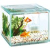 - 金魚元気ぶくぶくクリア 250CUBE ジェックス 06182518