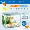- 金魚元気ぶくぶくクリア 250CUBE ジェックス 06182518