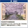 - お風呂のポスター 四季彩 お風呂のポスター 四季彩 桜並木 06184566