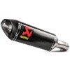 S-B10SO10-ZC スリップオンライン カーボン S-B10SO10-ZC AKRAPOVIC (アクラポビッチ) 06213037