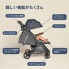 WLEGMETROPDXLNG ベビーカー メトロプラス デラックス metro+ deluxe (1ヶ月から22kgまで) ダッドウェイ 06234755