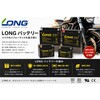 WP12-BS バッテリー 12V/10Ah 180CCA 液注入済 LONG 06299277