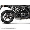 P-HSS10SO3 IvVi q[gV[h J[{ P-HSS10SO3 AKRAPOVIC (AN|rb`) 06304649