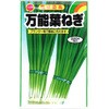 【タネ】風味最高 万能葉ねぎ アタリヤ農園