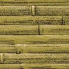 06418004