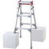 はしご兼用脚立 RYZ-d型 長谷川工業