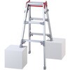 はしご兼用脚立 RYZ-d 長谷川工業
