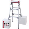 RYZ-09d はしご兼用脚立 RYZ-d 長谷川工業 06517239