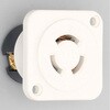 3117-IV 引掛形 機器用アウトレット白 アメリカン電機 06532794