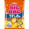 カルビー ポテトチップス うすしお味 ビッグ 160gx12 カルビー
