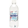 サンガリア 伊賀の天然水強炭酸水 ペット 500mlx24 サンガリア