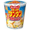 マルちゃん ホットワンタン 貝だしスープ 48gx12 東洋水産(マルちゃん)
