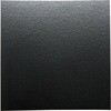 PON-12 E^X|WStuXtbNXv WAKI 06599406