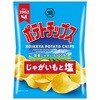 湖池屋 ポテトチップス じゃがいもと塩 60gx12 湖池屋