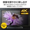 CAC-CDP10BK2 USB Type-C - DisplayPort 変換ケーブル ( USB-Cプラグ to DPプラグ ) 4K 60Hz エレコム 06670941