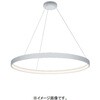 ERP7501WA ペンダントライト ワイヤーアジャスター付 ENDO(遠藤照明) 06761601