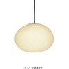 XRP6054WA 因州和紙 ペンダントライト ENDO(遠藤照明) 06762721